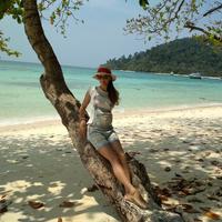 Отзыв от Алёна - DTV виза